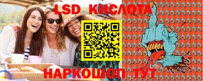 PSILOCYBIN Кингисепп