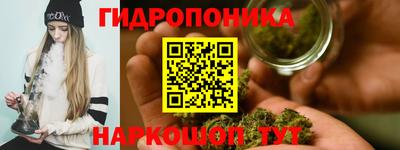спиды Кинель