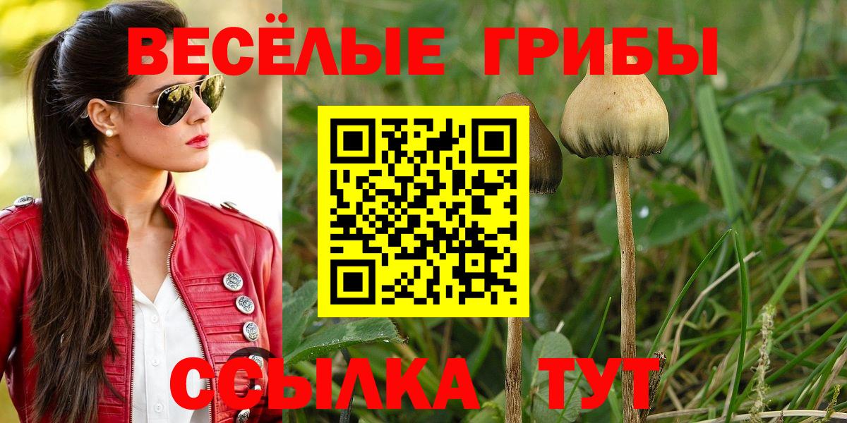Галлюциногенные грибы GOLDEN TEACHER  Вход с VPN  наркота  Псилоцибиновые грибы ЛСД  Дубна 