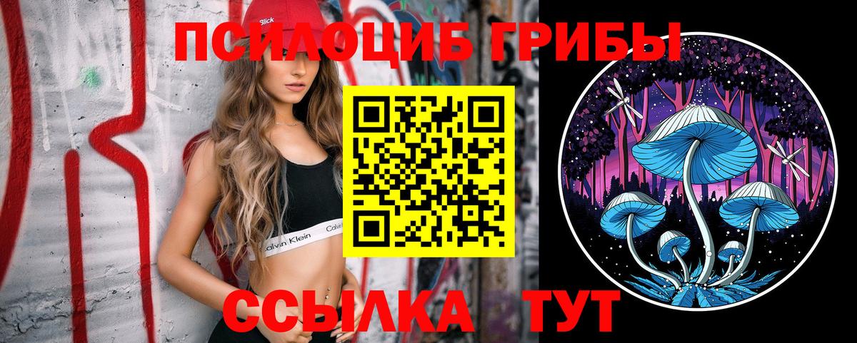 Галлюциногенные грибы мицелий Дубна